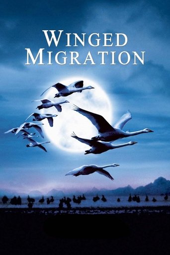 Winged Migration Poster of Winged Migration