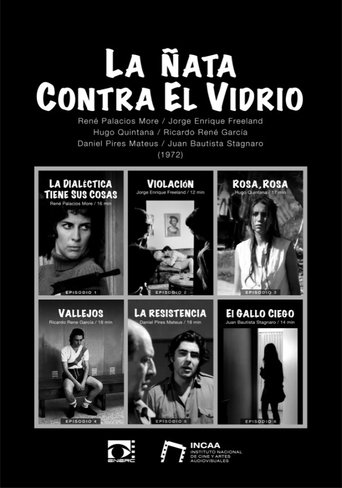 La ñata contra el vidrio Poster of La ñata contra el vidrio