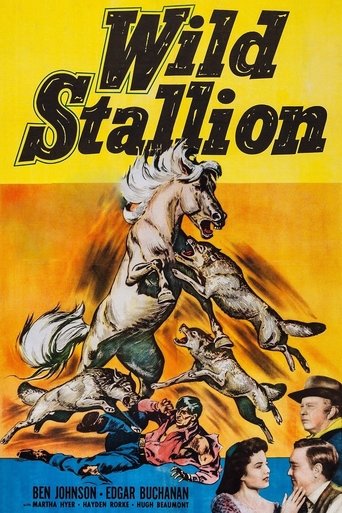 Wild Stallion Poster of Wild Stallion