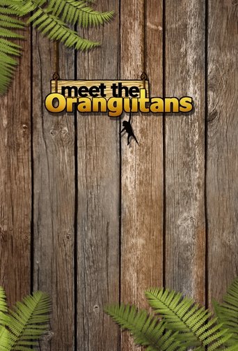 Meet the Orangutans Poster of Meet the Orangutans