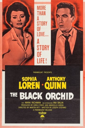 The Black Orchid Poster of The Black Orchid