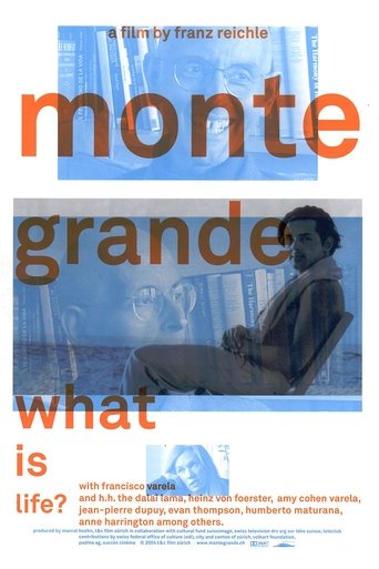 Monte Grande: What is Life? Poster of Monte Grande: What is Life?