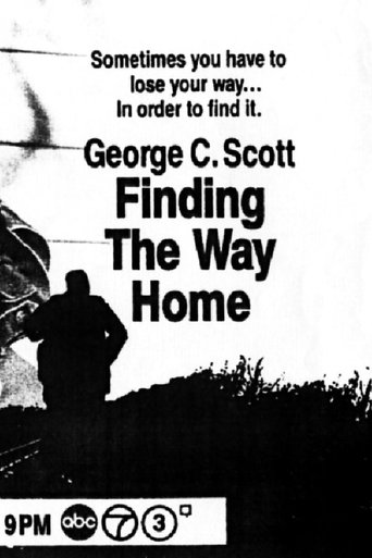 Finding the Way Home Poster of Finding the Way Home