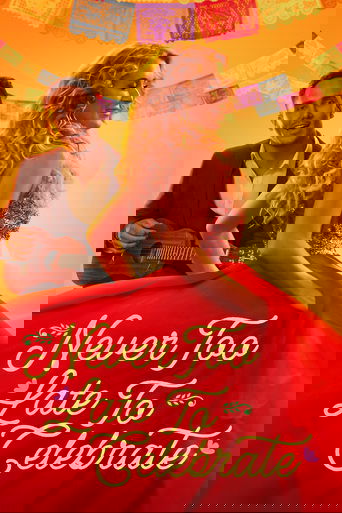 Never Too Late to Celebrate Poster of Never Too Late to Celebrate
