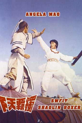 Swift Shaolin Boxer Poster of Swift Shaolin Boxer
