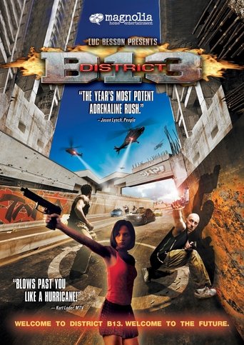 District B13 Poster of District B13