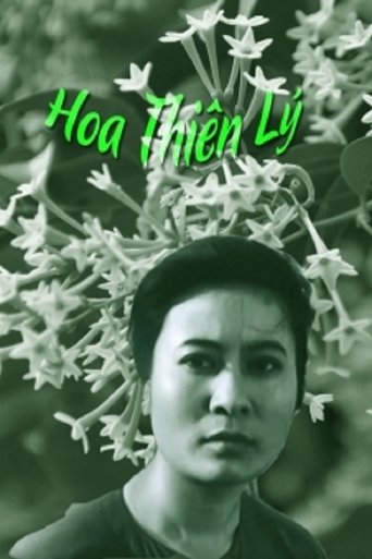 Tonkin Jasmine Flower Poster of Tonkin Jasmine Flower