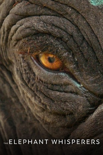 The Elephant Whisperers Poster of The Elephant Whisperers