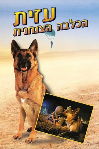 Azit the Paratrooper Dog Poster of Azit the Paratrooper Dog