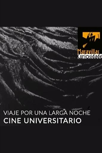 Viaje por una larga noche Poster of Viaje por una larga noche
