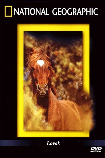 The Noble Horse Poster of The Noble Horse