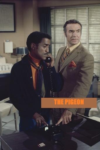 The Pigeon Poster of The Pigeon