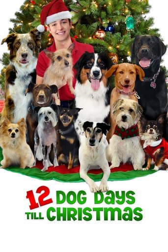 12 Dog Days Till Christmas Poster of 12 Dog Days Till Christmas