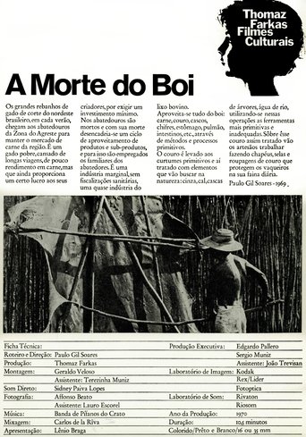 A Morte do Boi Poster of A Morte do Boi