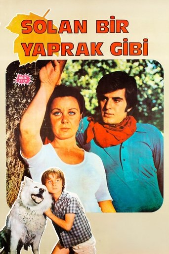 Solan Bir Yaprak Gibi Poster of Solan Bir Yaprak Gibi