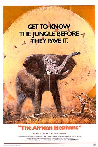 The African Elephant Poster of The African Elephant