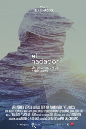 The Swimmer Poster of The Swimmer