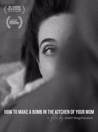 How to Make a Bomb in the Kitchen of Your Mom Poster of How to Make a Bomb in the Kitchen of Your Mom
