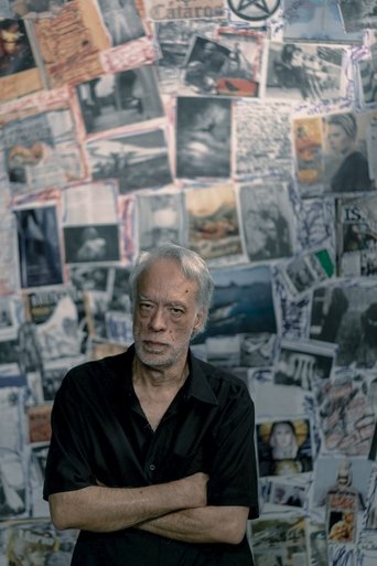 Fausto Fawcett na Cabeça Poster of Fausto Fawcett na Cabeça