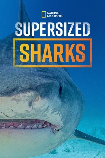 Supersized Sharks Poster of Supersized Sharks