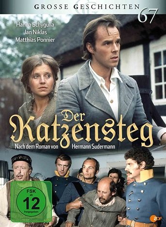 Der Katzensteg Poster of Der Katzensteg