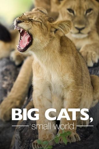 Big Cats, Small World Poster of Big Cats, Small World
