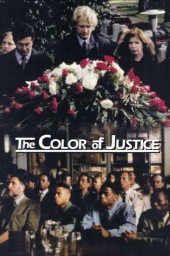 Color of Justice Poster of Color of Justice