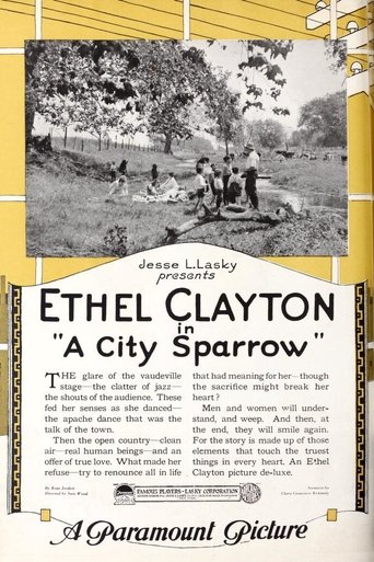 A City Sparrow Poster of A City Sparrow