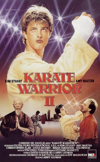 Karate Warrior 2 Poster of Karate Warrior 2