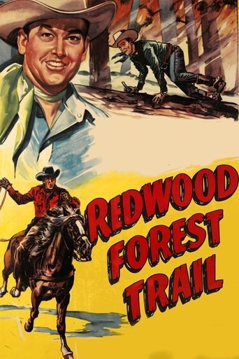 Redwood Forest Trail Poster of Redwood Forest Trail
