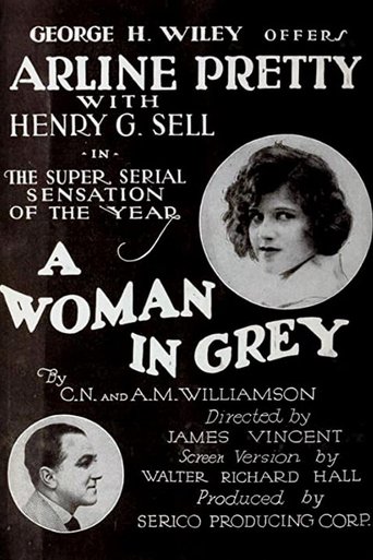 A Woman in Grey Poster of A Woman in Grey