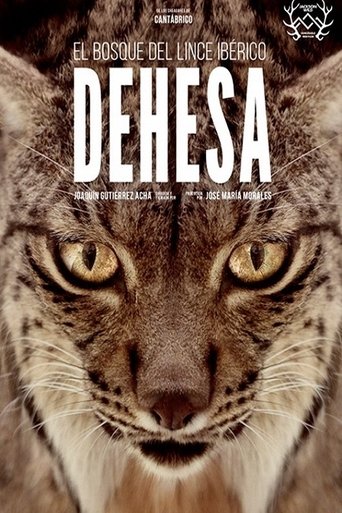 Dehesa: The Forest of the Iberian Lynx Poster of Dehesa: The Forest of the Iberian Lynx
