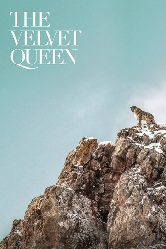 The Velvet Queen Poster of The Velvet Queen