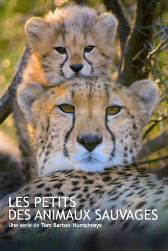 Les animaux sauvages et leurs petits Poster of Les animaux sauvages et leurs petits
