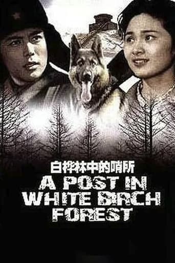 A Post in White Birch Forest Poster of A Post in White Birch Forest