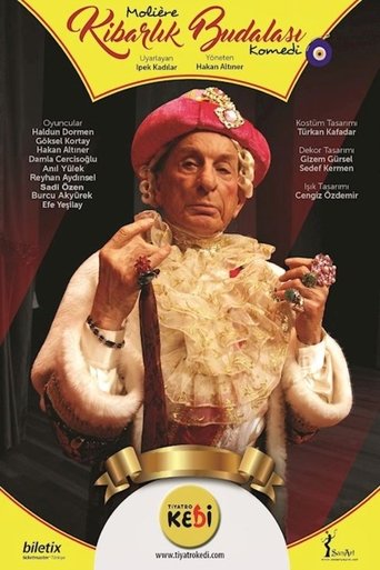 Kibarlık Budalası Poster of Kibarlık Budalası