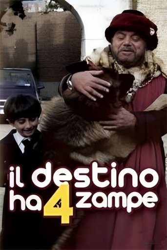 Il destino ha 4 zampe Poster of Il destino ha 4 zampe