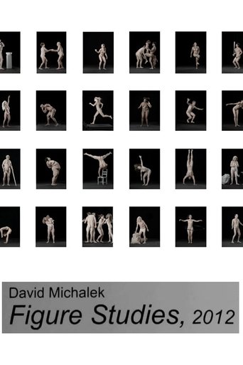 Figure Studies Poster of Figure Studies