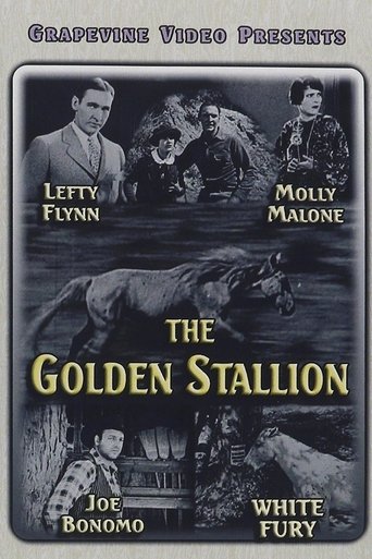 The Golden Stallion Poster of The Golden Stallion