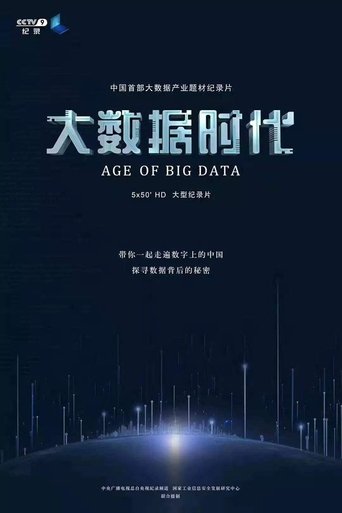 大数据时代 Poster of 大数据时代