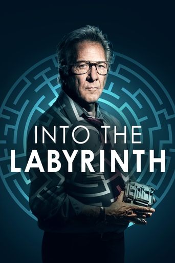 Into the Labyrinth Poster of Into the Labyrinth