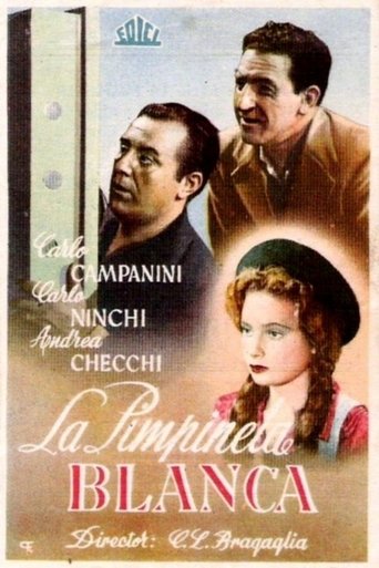 La primula bianca Poster of La primula bianca