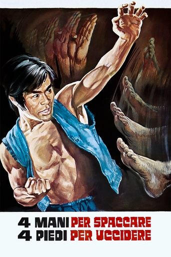 The Kung Fu Brothers Poster of The Kung Fu Brothers