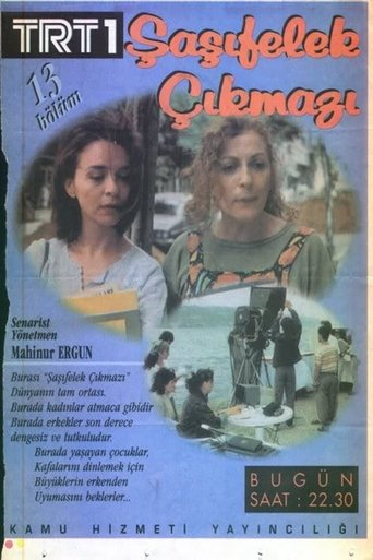 Şaşıfelek Çıkmazı Poster of Şaşıfelek Çıkmazı