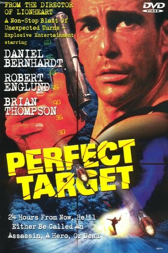 Perfect Target Poster of Perfect Target