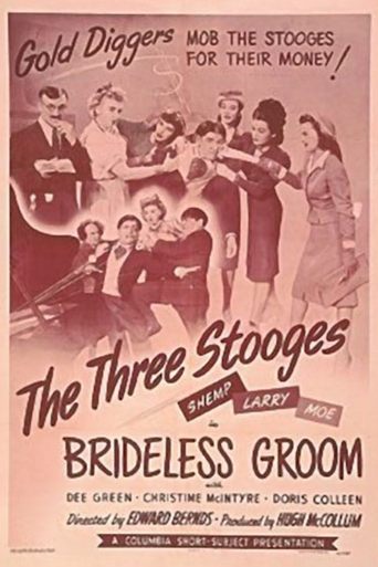 Brideless Groom Poster of Brideless Groom