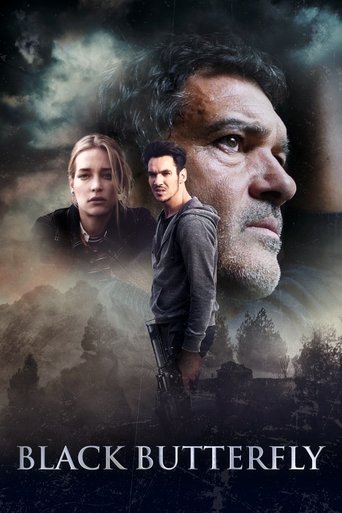 Black Butterfly Poster of Black Butterfly