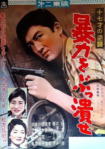 十七才の逆襲 暴力をぶっ潰せ Poster of 十七才の逆襲 暴力をぶっ潰せ