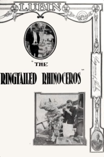 The Ringtailed Rhinoceros Poster of The Ringtailed Rhinoceros