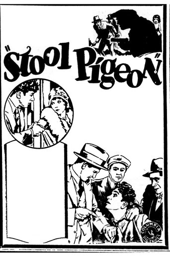 Stool Pigeon Poster of Stool Pigeon